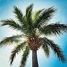 Blue Fin Rock Harbor RV Park & Marina