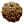 Sacred Rudraksha