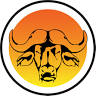 Safari Electric Llc