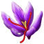 Saffron-Store.com