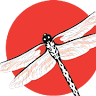 Saizen Tours