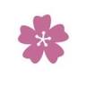 Sakura Dental Clinic