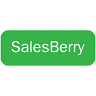 SalesBerry Department Store