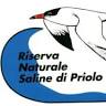Saline Nature Reserve Priolo