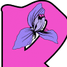 Kozmetički salon IRIS