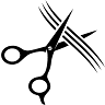 Salon 223