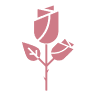SALON ROSES - kosmetické studio