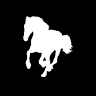 Salty Cowboy - Horse riding