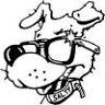 Salty Dog Surf Shop