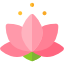 Sanative Massage Therapist Ballarat