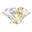 S & L GEM CO
