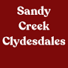 Sandy Creek Clydesdales