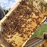 San Juan Bee Supply