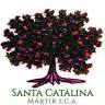 Cooperativa Santa Catalina Mártir - Aceite de oliva virgen extra (AOVE) - Aceite de Arenas