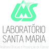 Laboratório Santa Maria