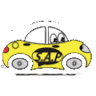 SAP, Service Auto aux Particuliers SAP