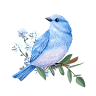 Sapphire Blue Gifts & More