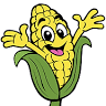 Sauchuk's Corn Maze & Pumpkin Patch