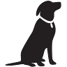 Sawyer Insurance & Financial