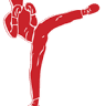 Savate boxe française d'Annecy
