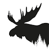 Scandinavian-Store