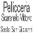 Scaranello Pellicce