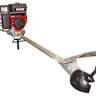 Scavenger Backwater Motors Inc