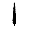 Uitvaartzorg Jan Schillebeeckx