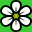 Schnitzler’s Blumen