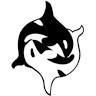 Sea Quest Kayak Tours