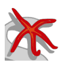 Seastar diving GmbH