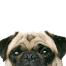 Seaway Veterinary Clinic