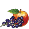 The Harvest Cafe