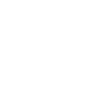 Security Transport