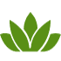 Sedum Supply Ltd