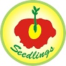 Seedlings School Bhopal