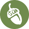 Seeds of Life