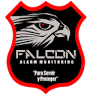 Seguridad Falcon Guanacaste