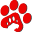SegurosVeterinarios - Comparador Especialista en Seguros para Perros