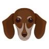Town & Country Animal Hospital: Mary Sue Painter, DVM