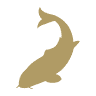 Select Koi