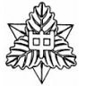 Toka Junior High School