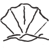 Sense of Ofir