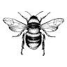 Serene's Beeswax Chandlery