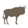 Serengeti National Park