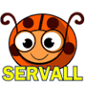 Servall Gutter Co