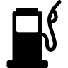 Express service S.A. de C.V. bajio