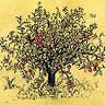 Seven Oaks Farmhouse Cider Pty Ltd
