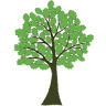 Seven Oaks Oral Surgery