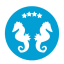 Club Hotel Everest - Severi Hotels